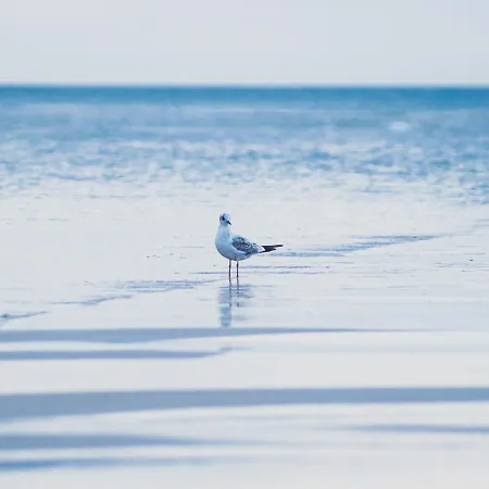 Апартаменты Na Cichej 5 A4 Колобжег