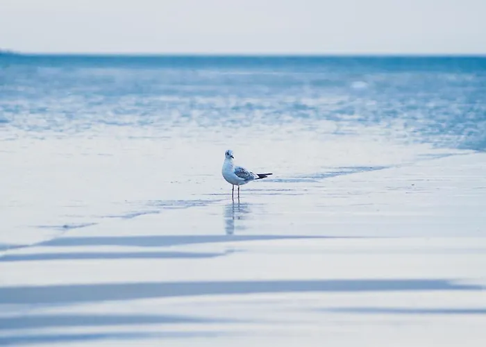 شقة Na Cichej 5 A4 كولوبرزيغ